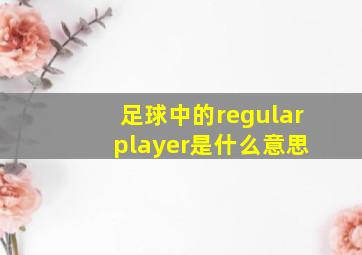 足球中的regular player是什么意思